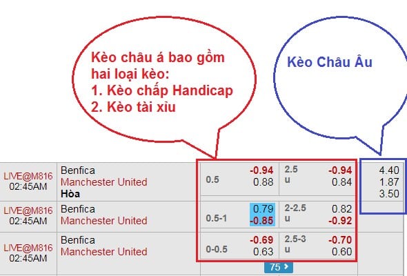 Sự khác nhau giữa kèo châu âu và kèo châu á